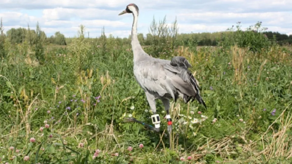 Фото: пресс-служба администрации Дубны