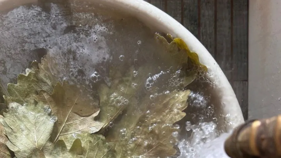 Фото: Полина Фокина