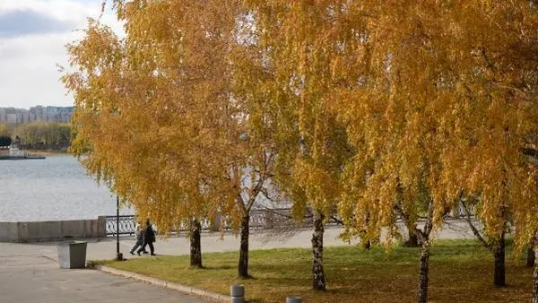 До 21 градуса потеплеет в Подмосковье