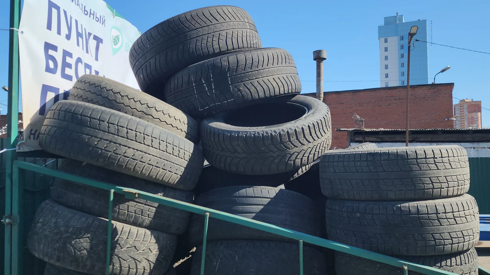 Фото: МедиаБанк Подмосковья/Максим Сафронов