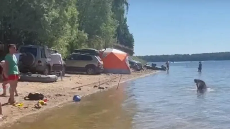 Жителя Рузы возмутили наглые автовладельцы, паркующие машины возле водохранилища