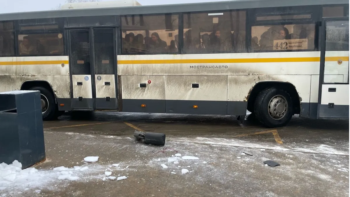 фото: Telegram-канал "Краснознаменск новости"