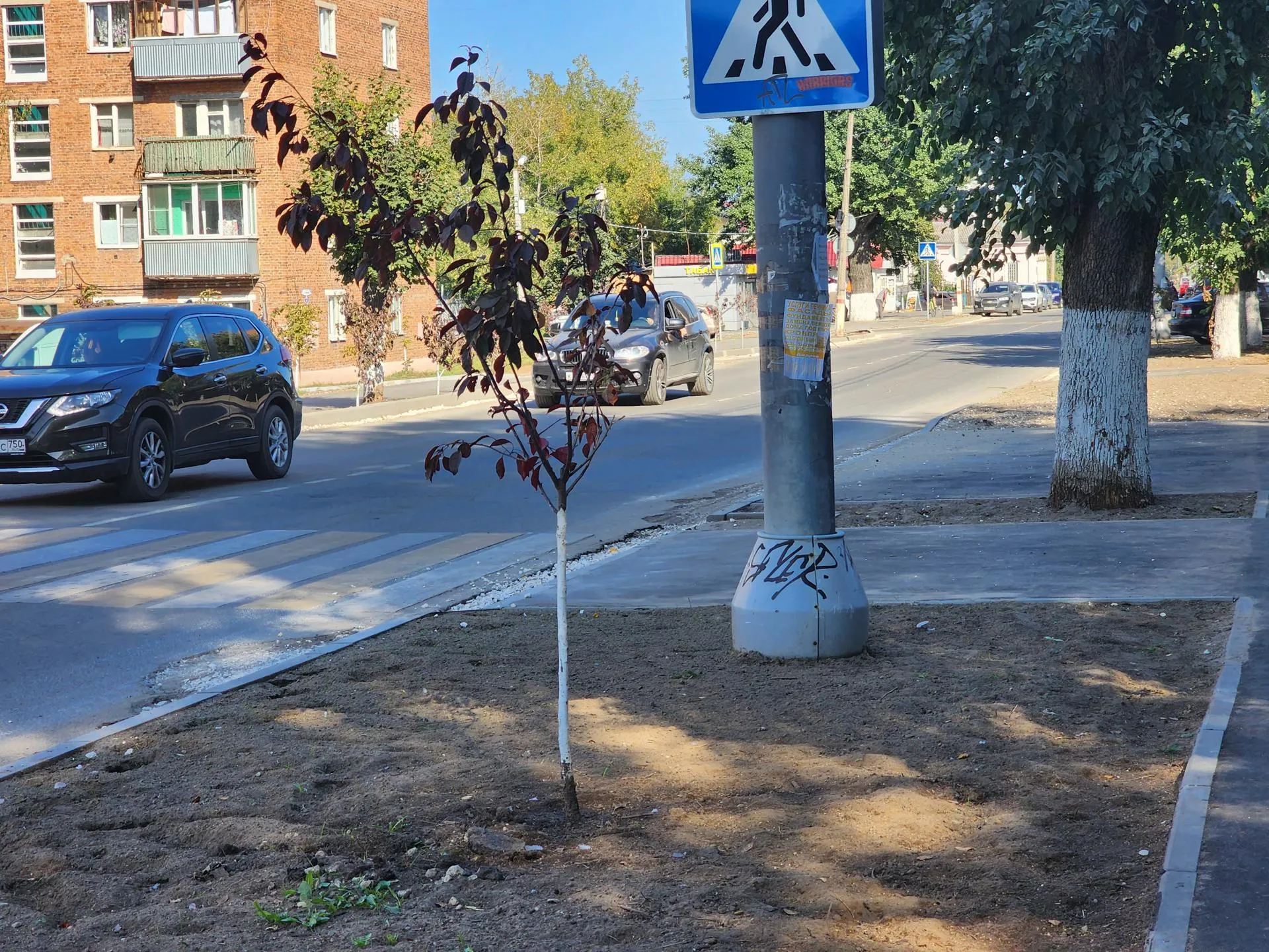 Источник: Алена Притула