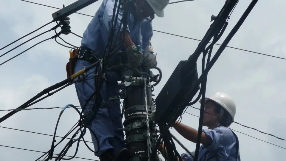 Фото: pxhere.com