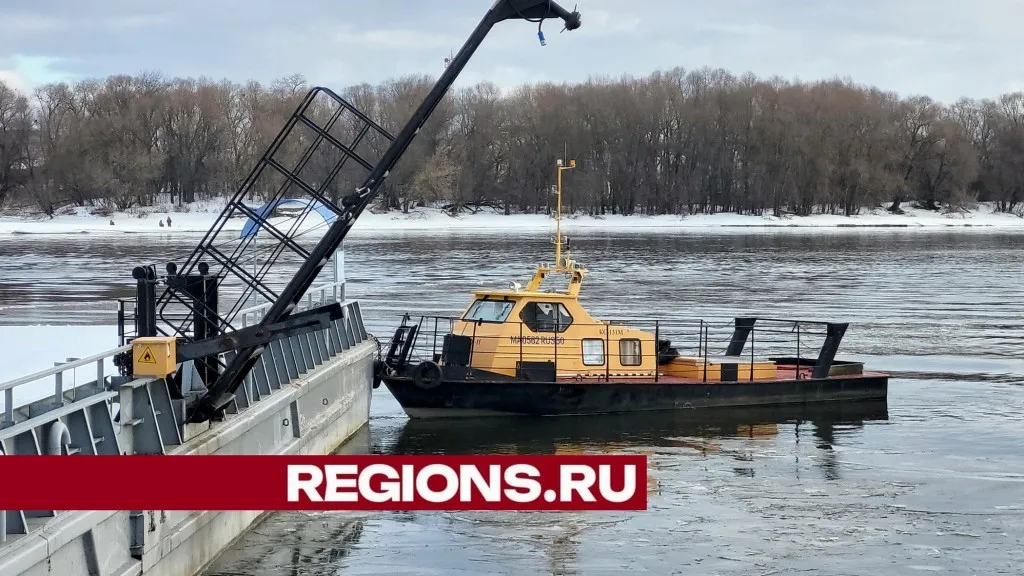 Фото: пресс-служба администрации городского округа Луховицы