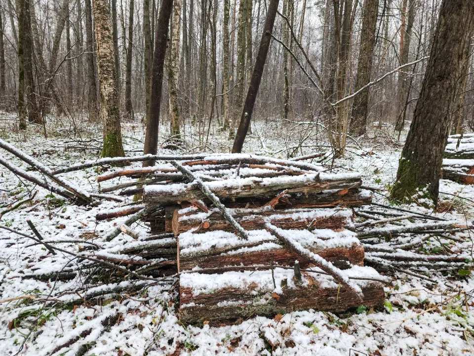 Фото: МедиаБанк Подмосковья/Мария Андрюхина