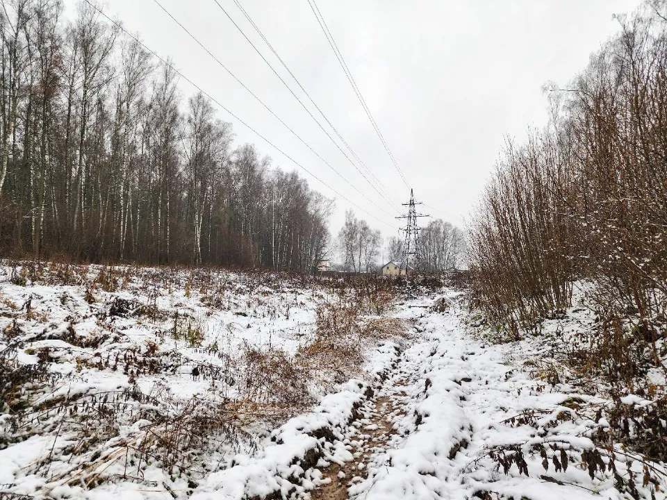 Фото: МедиаБанк Подмосковья/Мария Андрюхина