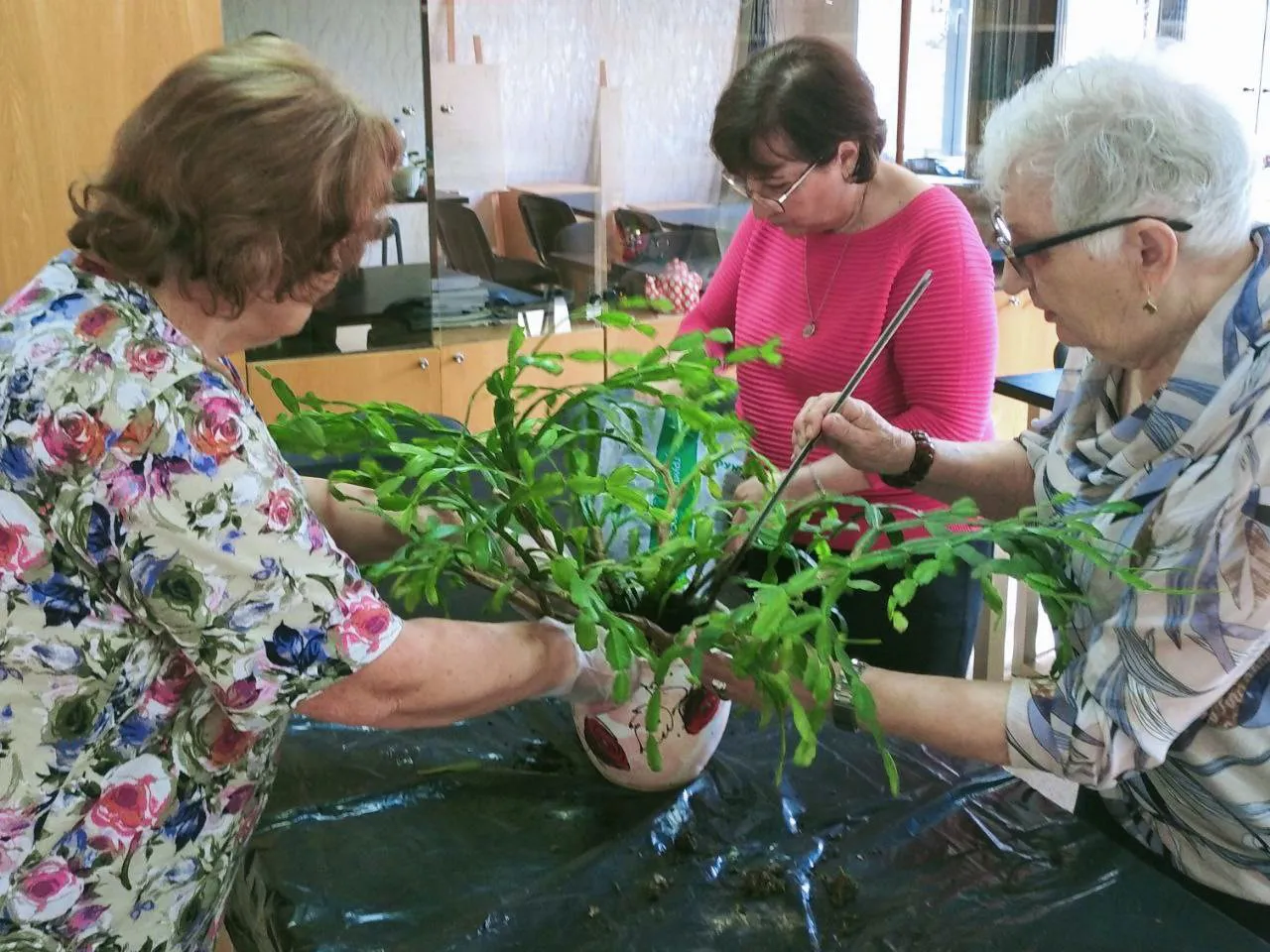 Фото: «Активное долголетие» г.о. Щелково