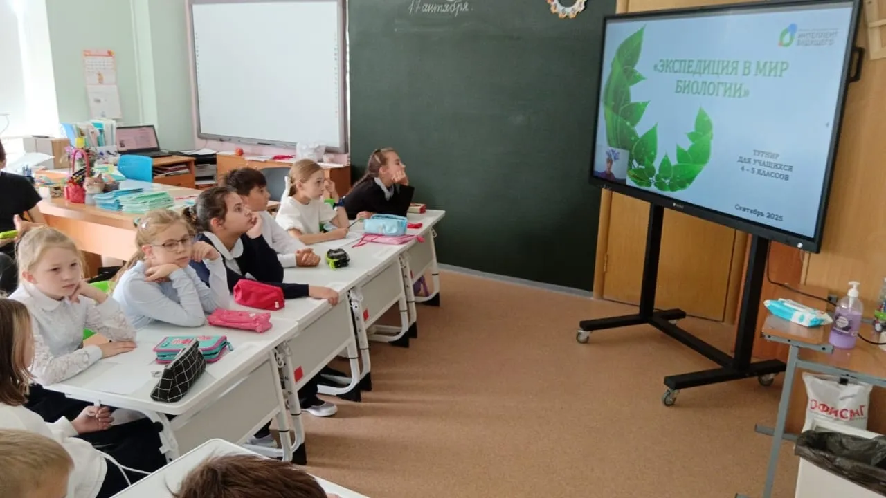 Фото: школа №9 г.о. Ступино