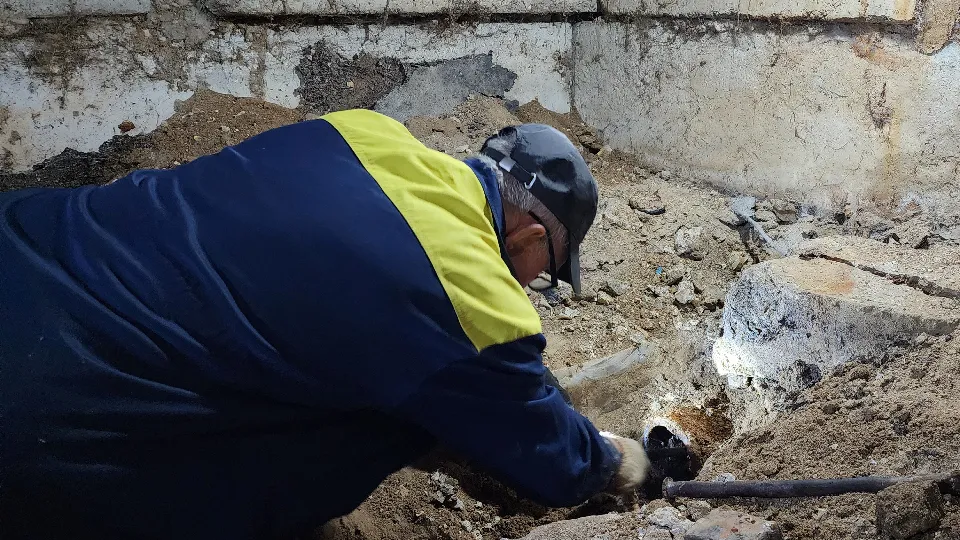 Фото: МедиаБанк Подмосковья/Андрей Алекин