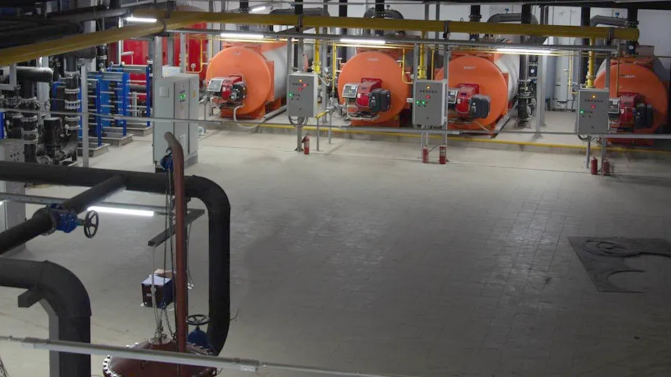 Фото: пресс-служба администрации г.о. Чехов