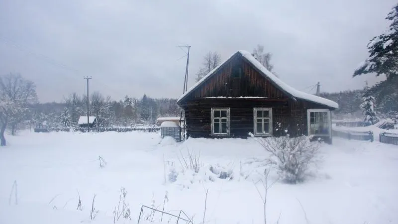 Филипп Терец / Подмосковье сегодня