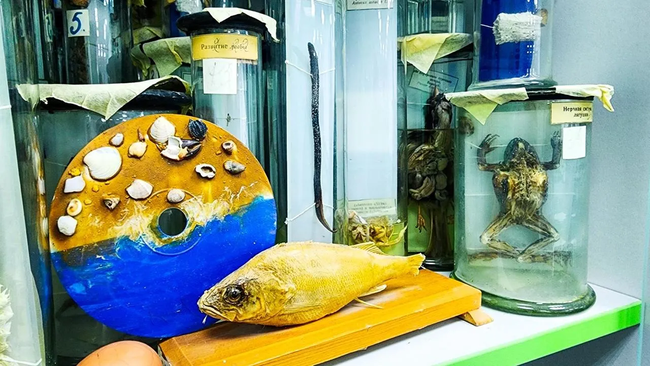 REGIONS/Мария Панина