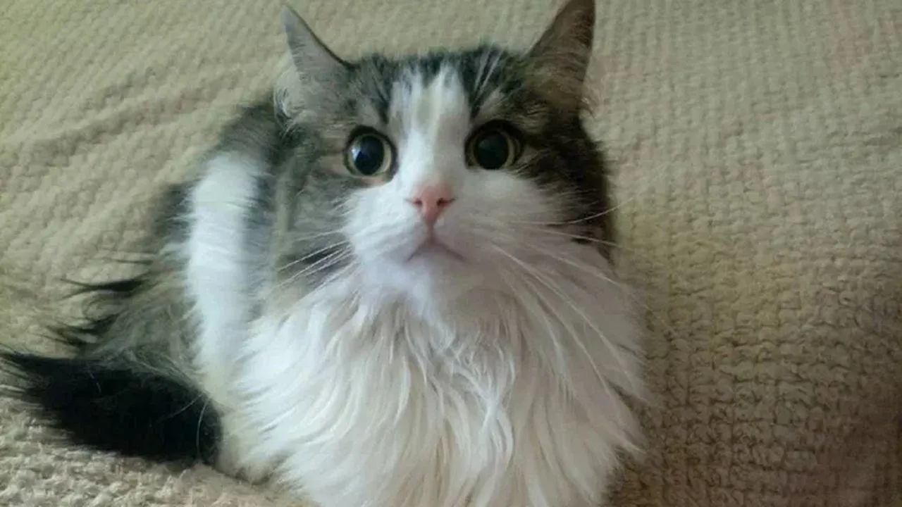 REGIONS/Наталья Надточая