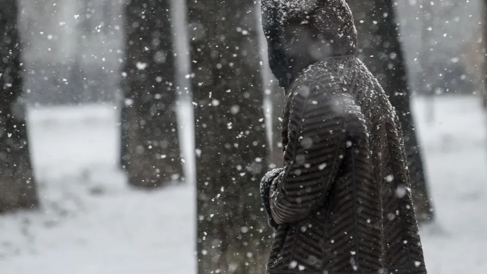 Фото: медиасток.рф