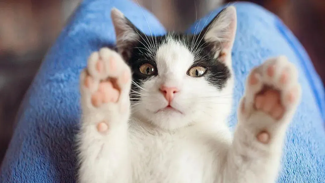 Фото: freepik.com