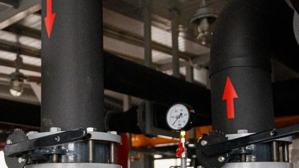 Фото: пресс-служба администрации Орехово-Зуевского г.о.