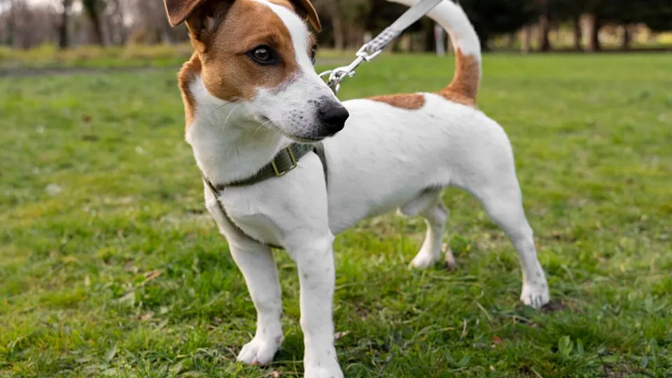 Фото: freepik.com