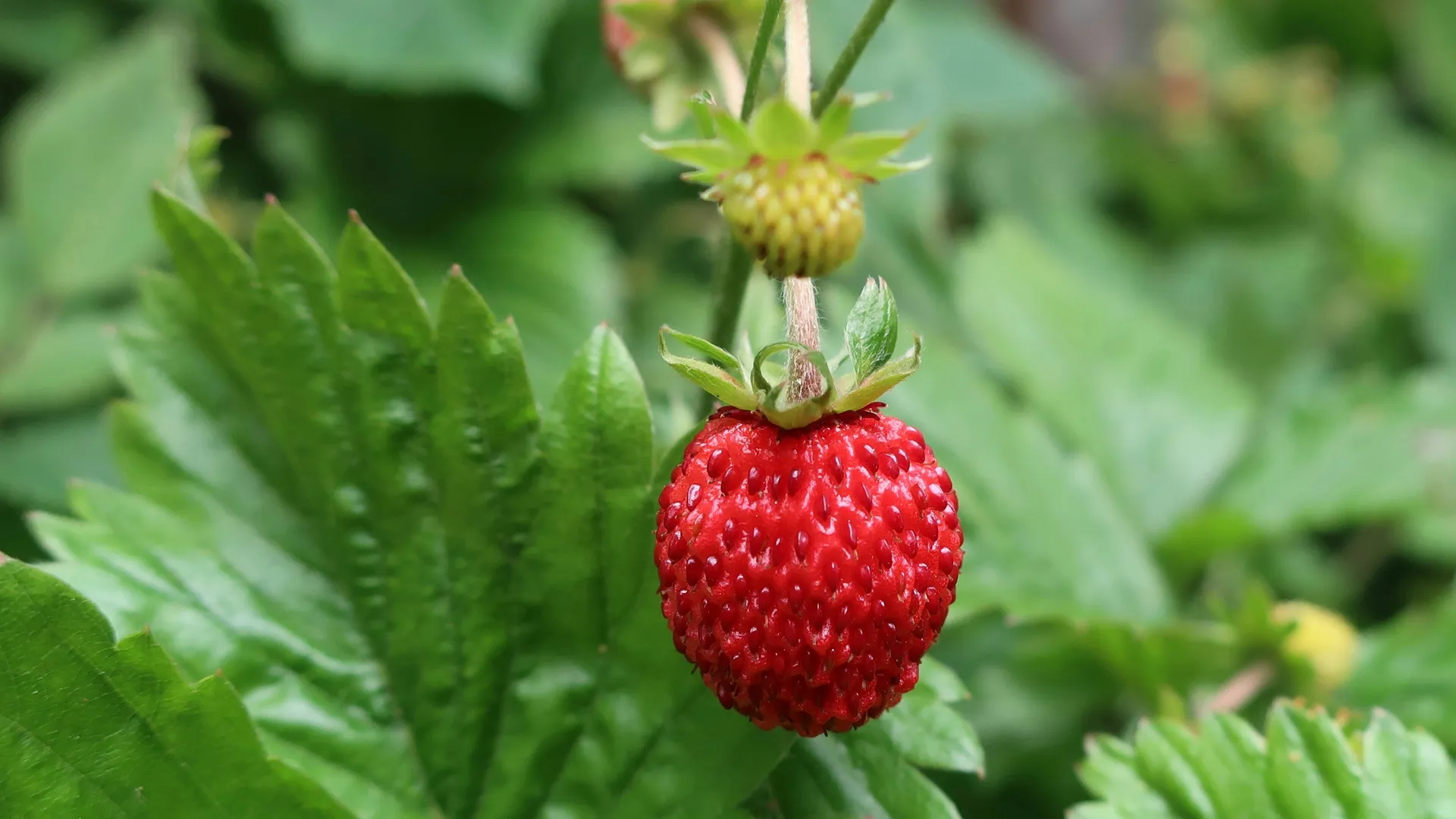 Фото: unsplash.com