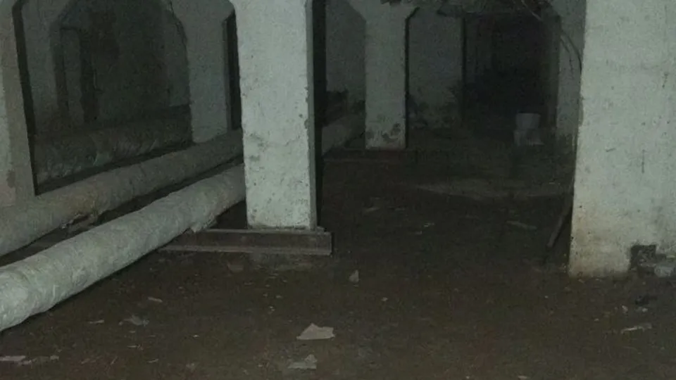 Фото: пресс-служба администрации Одинцовского г.о.