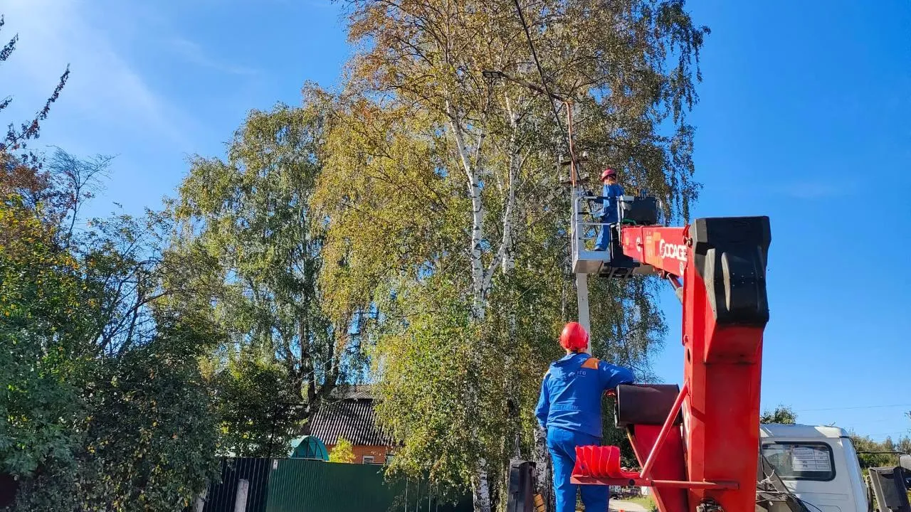 Фото: Мособлэнерго