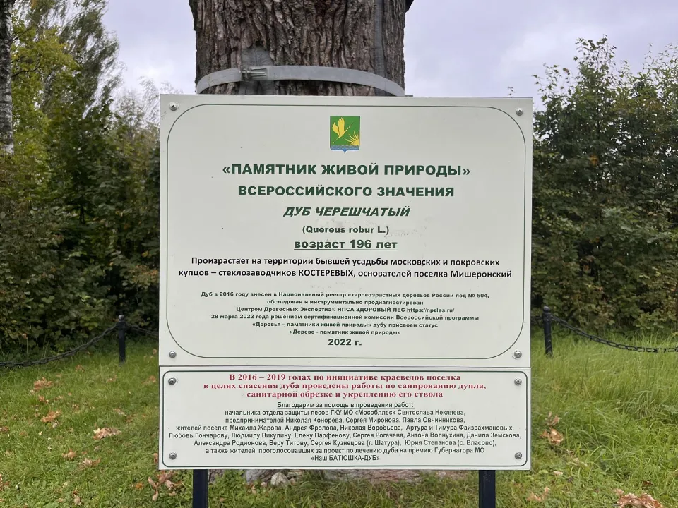 Фото: МедиаБанк Подмосковья/Ангелина Стельмух