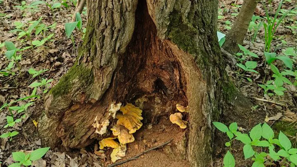 Фото: Иван Федулов