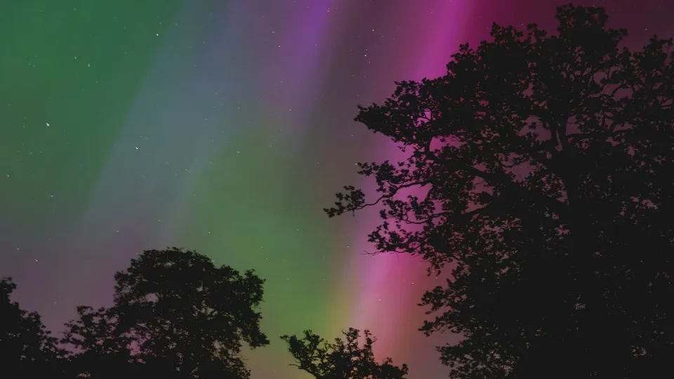 Фото: unsplash.com