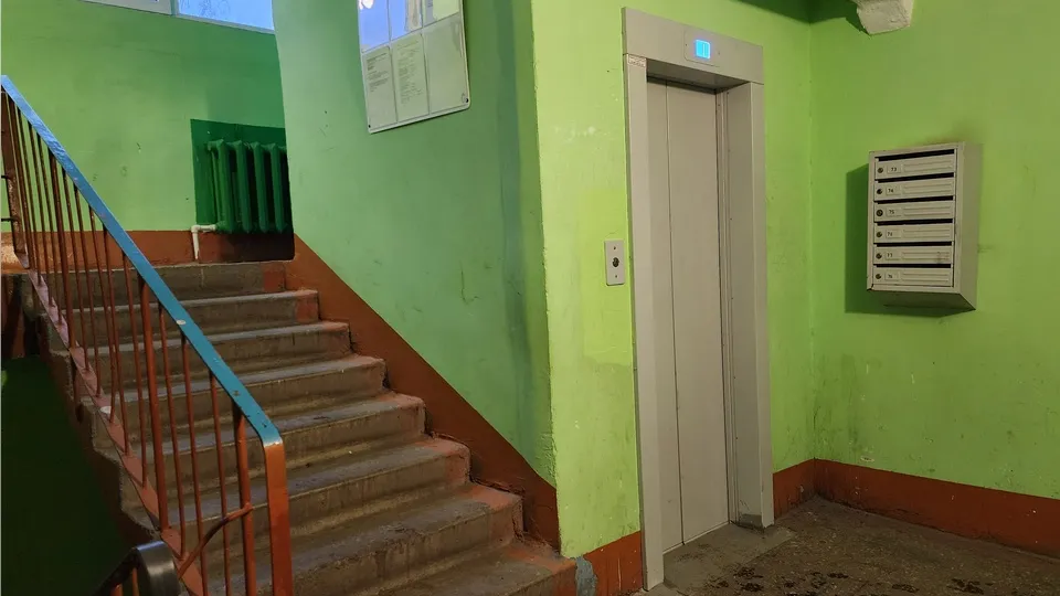 Фото: МедиаБанк Подмосковья/Анна Шолохова