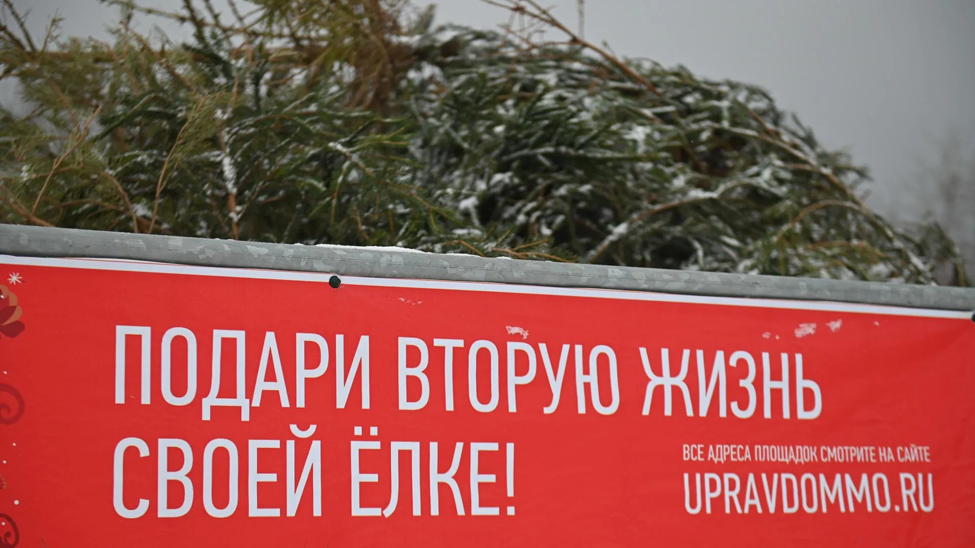 Фото: Павел Попов