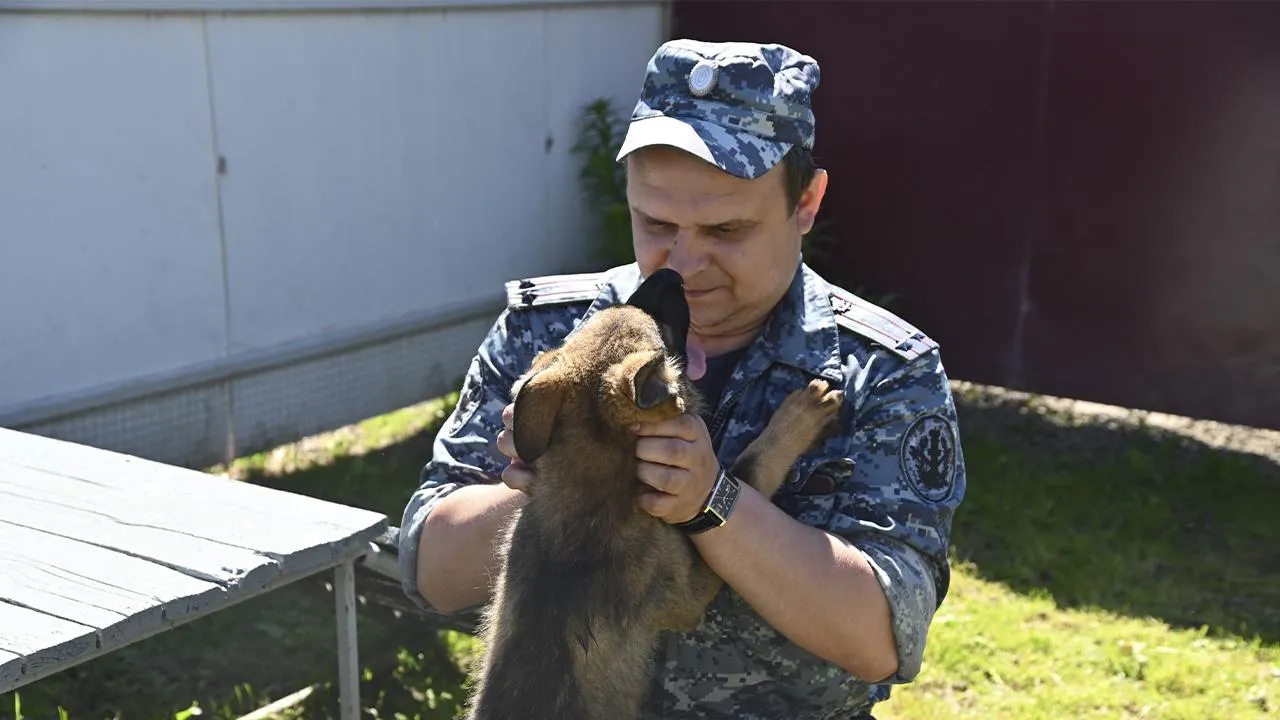 «Ласковый лизунчик»: выяснилось, какие собаки не подойдут для службы