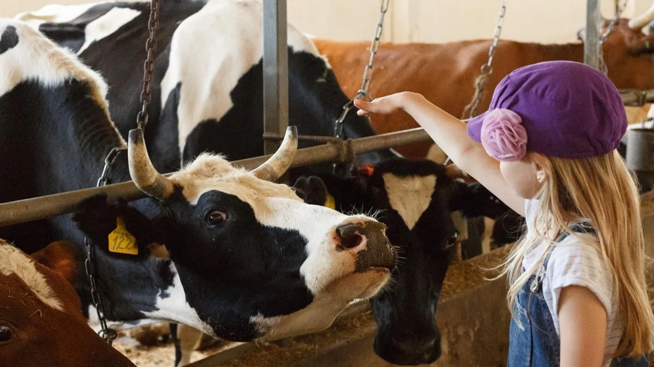 Фото: Минсельхозпрод МО