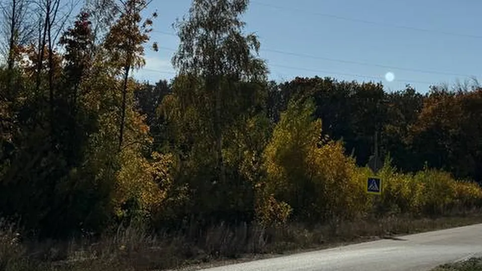 ото: REGIONS/Алена Мельникова