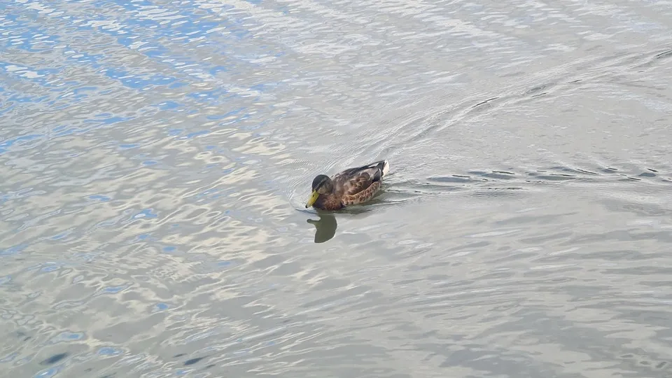 Фото: REGIONS/Александр Дрожжин