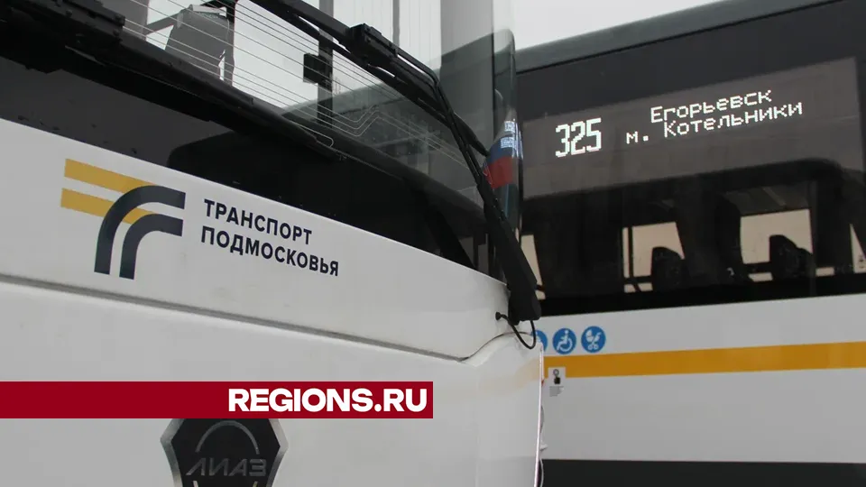 Фото: REGIONS/Василий Тремасов