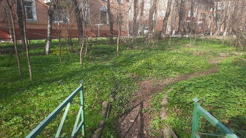 Пенсионерка из Люберец просит спасти уникальный сад с редкими растениями
