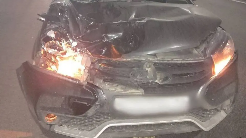 Фото: ЕДДС Орехово-Зуевского округа