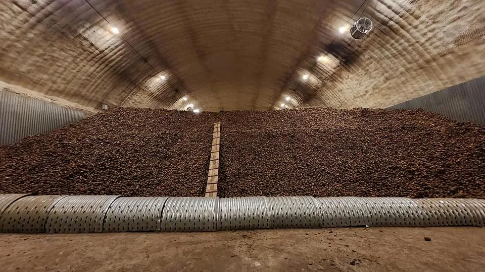 Фото: МедиаБанк Подмосковья/Анна Шолохова