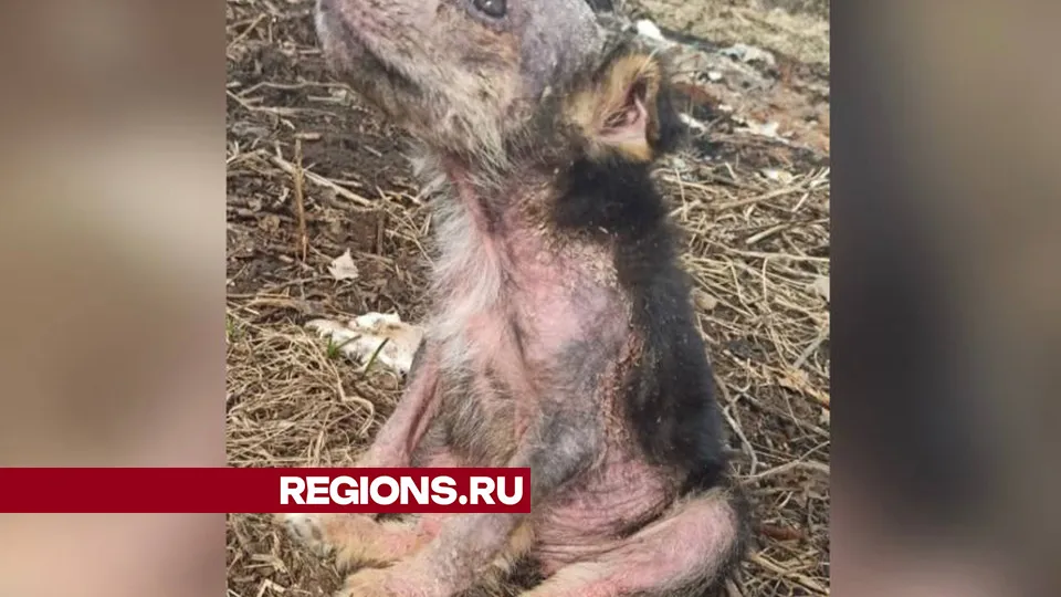 Фото: Татьяна Чебрякова