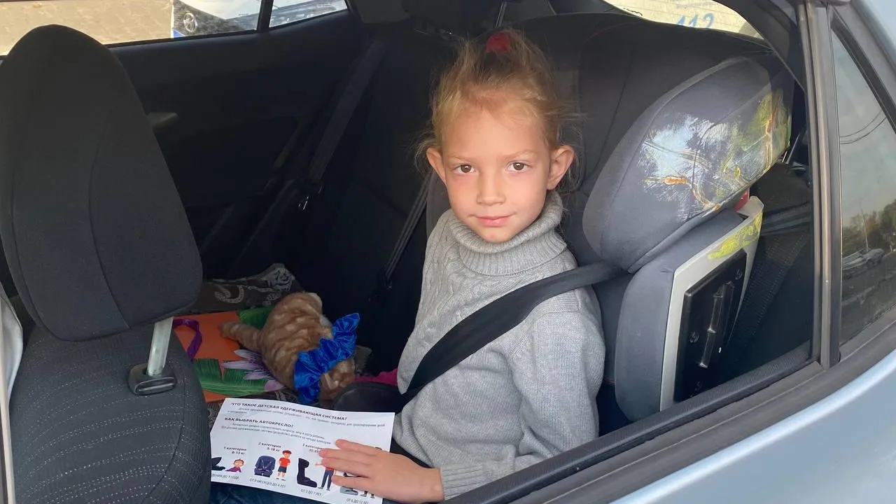 Источник: пресс-служба ГИБДД по городскому округу Павловский Посад