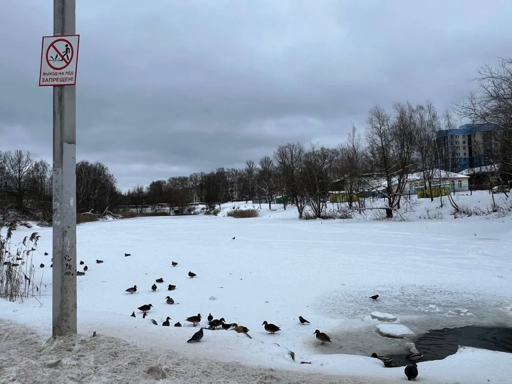 Фото: Виктория Джамалова&nbsp;