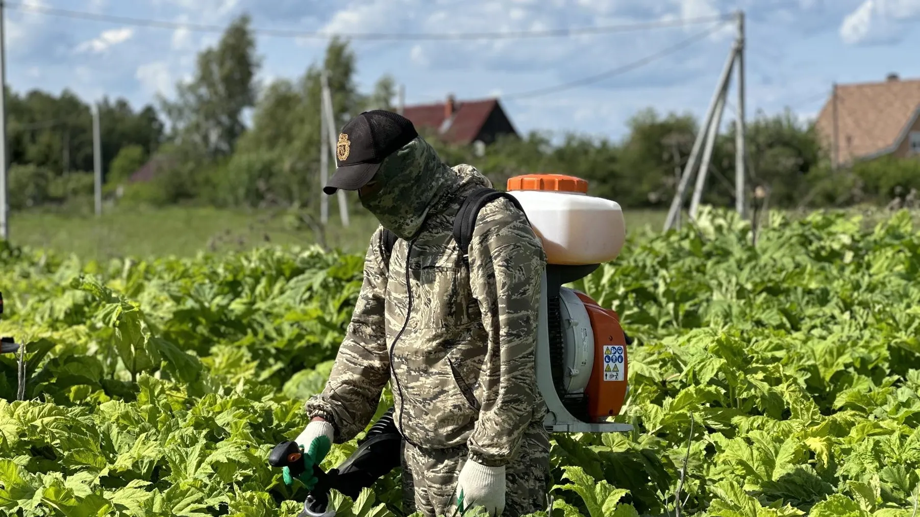 Фото: пресс-служба администрации Можайского городского округа