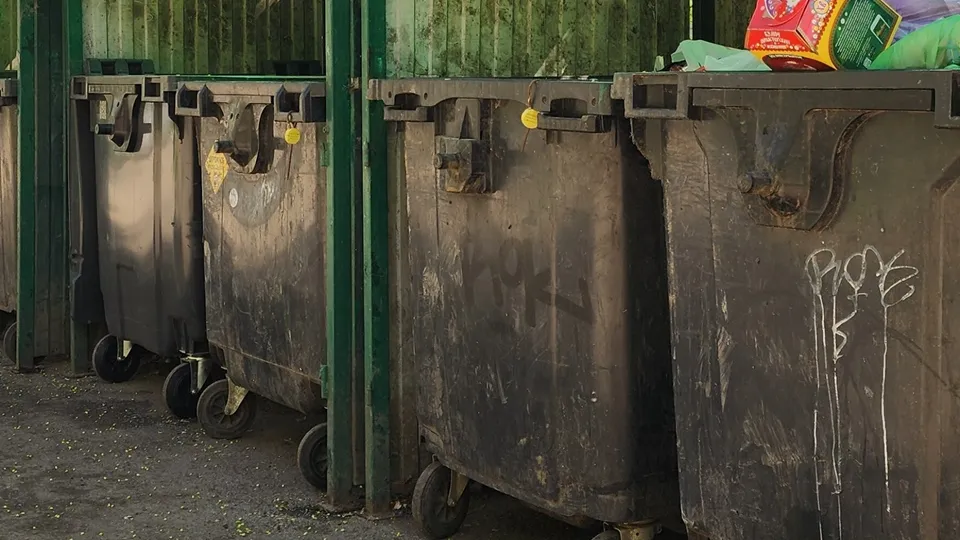 Фото: REGIONS/Хавива Фонина