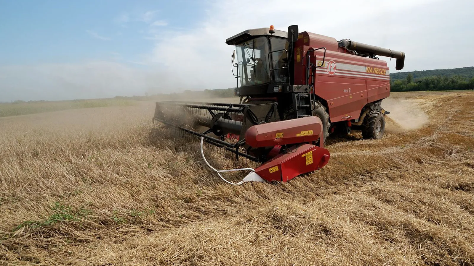 Фото: медиасток.рф