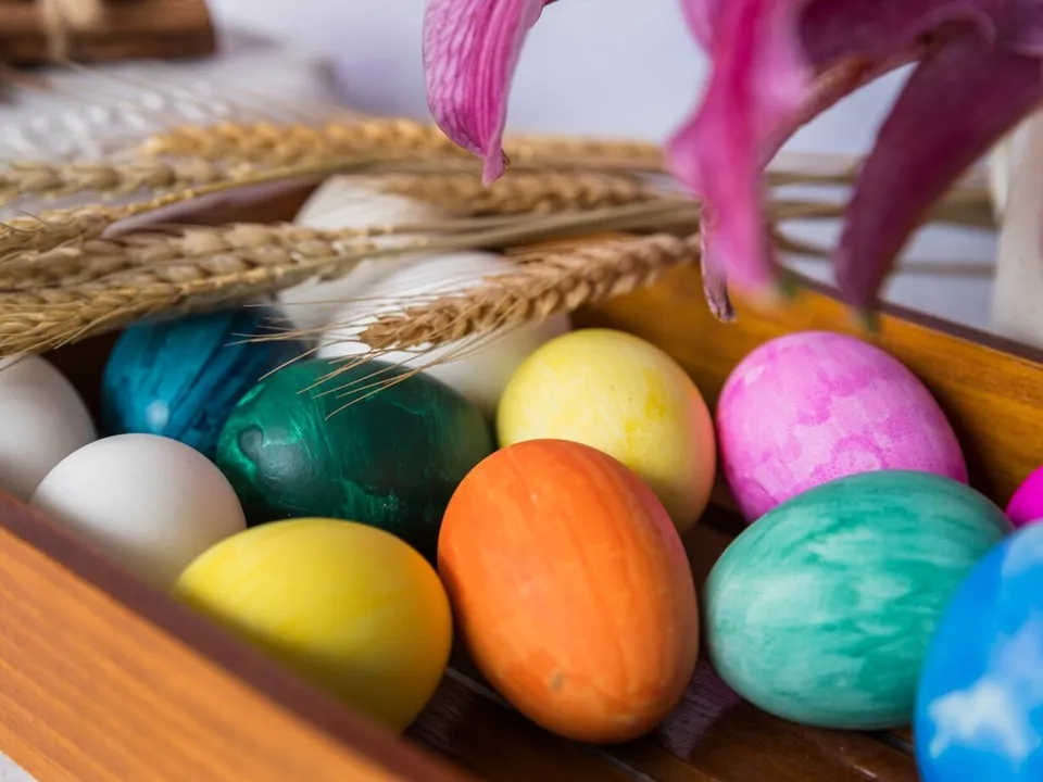 Фото: freepik.com