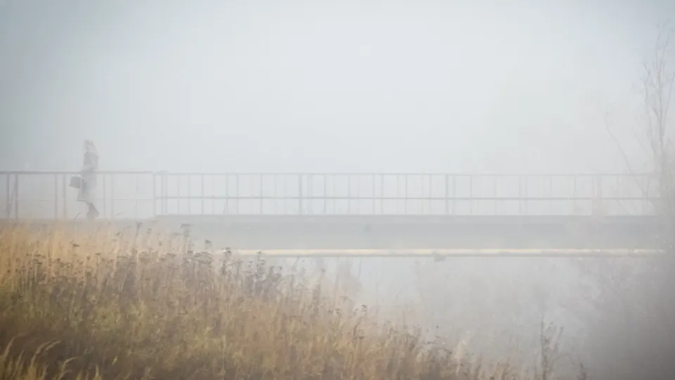 Фото: пресс-служба администрации г.о. Кашира