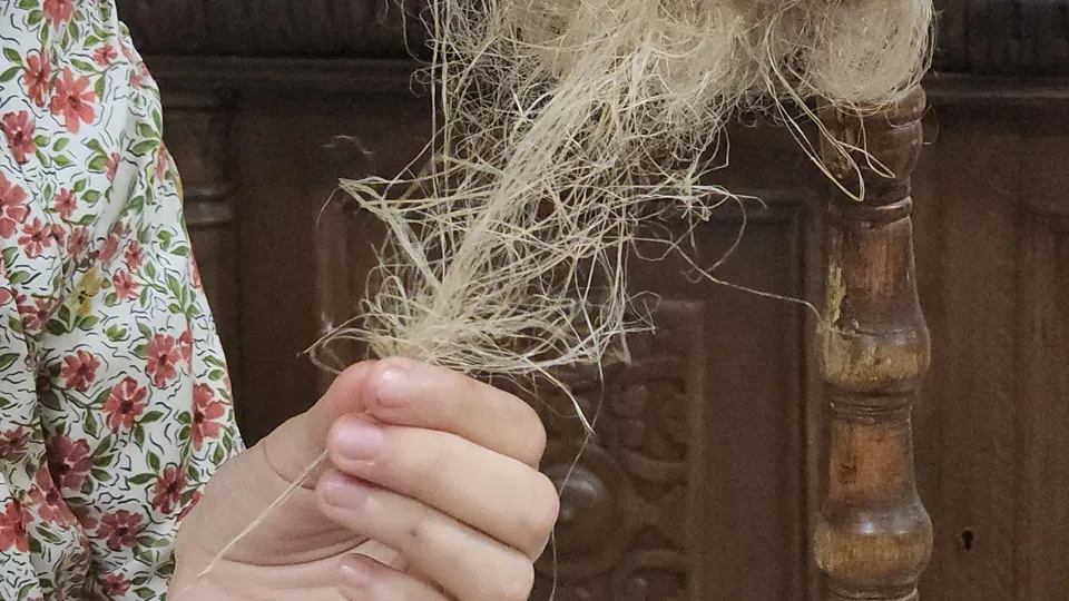 Фото: Андрей Семибратов