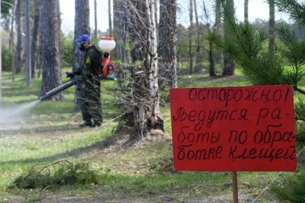 Сотрудник дезинфекционной станции города Казани обрабатывает местность от клещей в Кировском районе