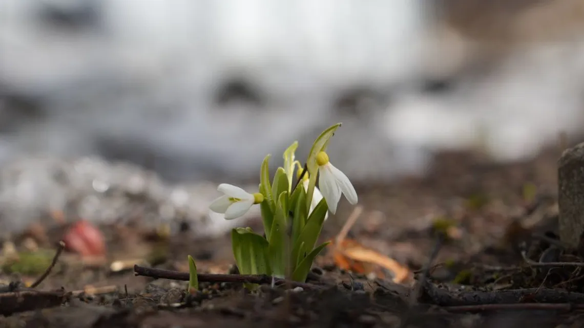 Фото: МедиаБанк Подмосковья/Дарья Леонова