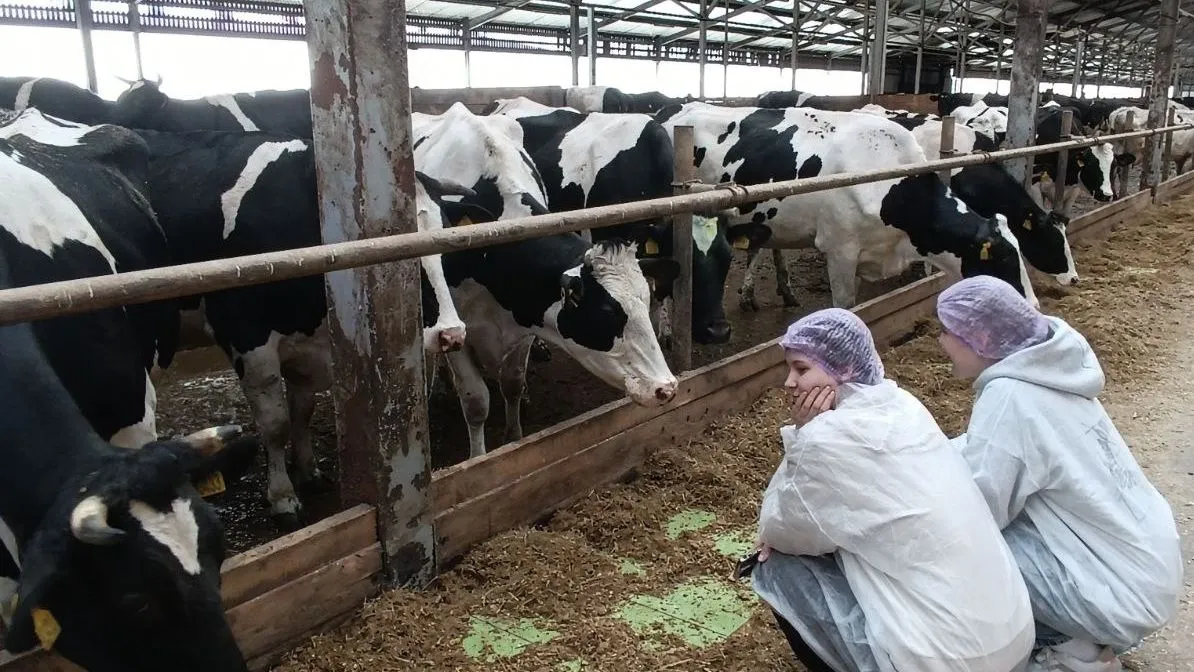 Фото: t.me/mmtehnikum